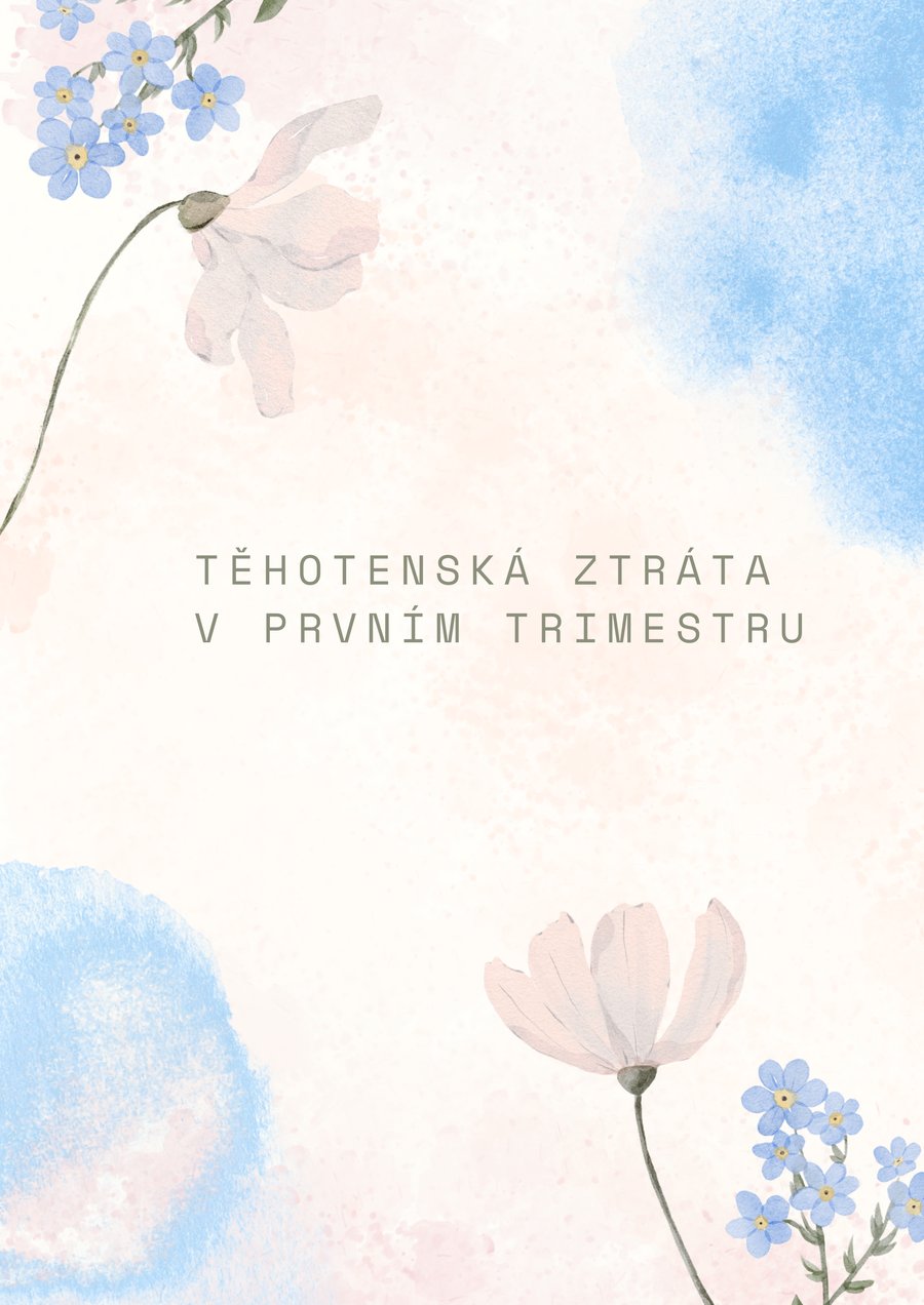 Náhled titulní strany brožury Těhotenská ztráta v prvním trimestru